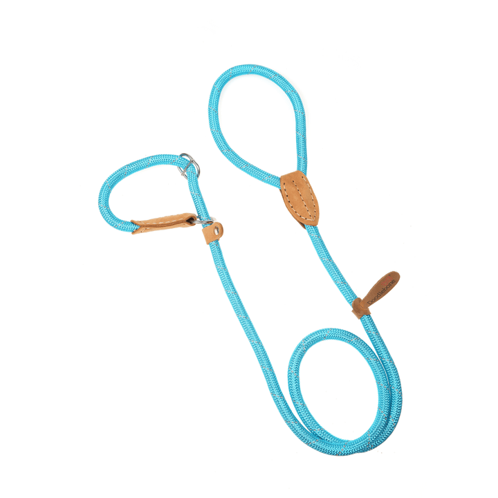 Doodlebones Slip Leads